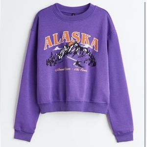 NWOT H&M Alaska Vintage Inspired Graphic Travel Souvenir Sweatshirt Long Sleeve